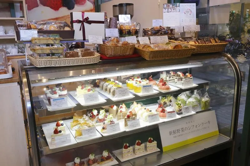Dai-Ichi Hotel Ryogoku Tokyo