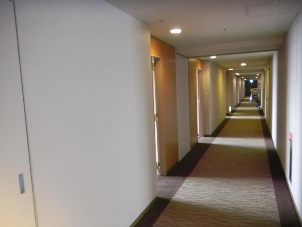Dai-Ichi Hotel Ryogoku Tokyo Japan